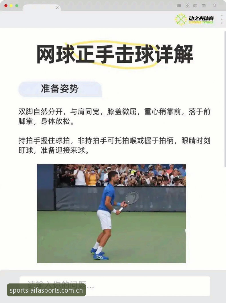 aifa体育激情互动使用指南全面解析：从新手到高手的实战经验分享